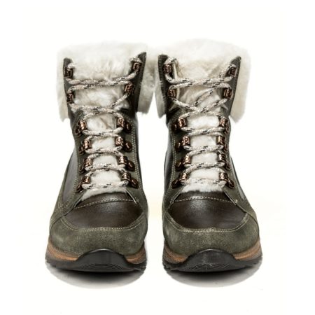 14510 ara 12 24599 05h forest 3